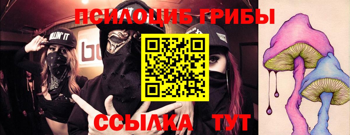 Псилоцибиновые грибы GOLDEN TEACHER Горячий Ключ